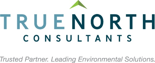 True North Consultants Logo