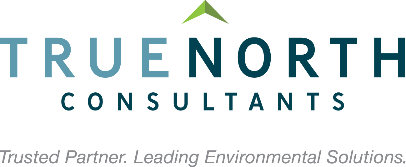 TrueNorth logo
